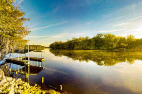 Suwannee River Grove